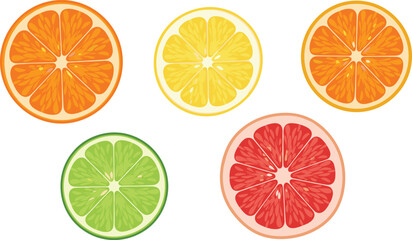 Obraz premium Citrus Fruit Slice Collection with Orange Lemon Lime and Grapefruit Fresh Juicy Vitamin Rich Vector Illustration Set