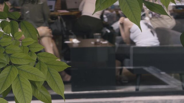 Close-up of fresh green tropical leaves in sharp focus with a blurred background of people sitting in a street caf&eacute; in Vietnam. The scene captures an authentic Southeast Asian urban lifestyle, combini