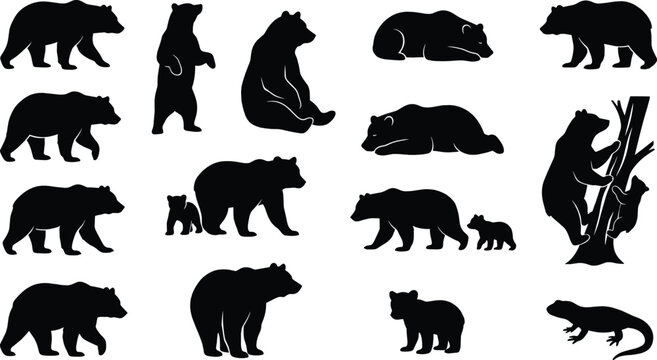 Bear silhouette collection, wild bear poses and cubs black animal shadow shapes, wildlife vector illustration set isolated background