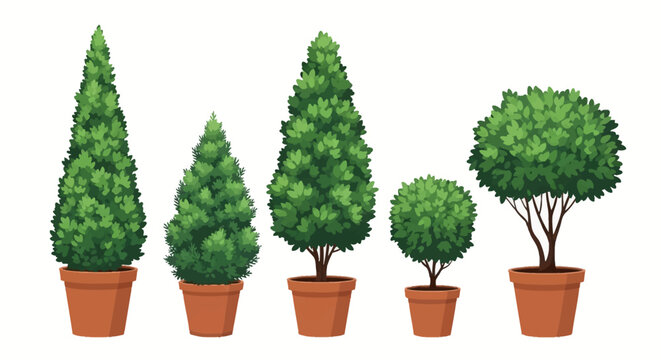 Set of five decorative green potted trees and garden shrubs in terracotta pots isolated on white, including conical evergreens, rounded topiary, and ornamental foliage plants.