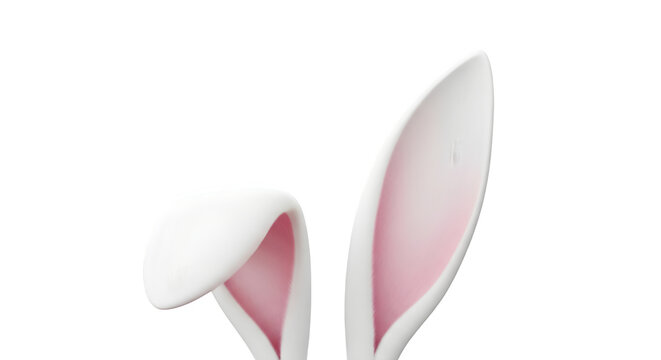 Pink and white rabbit ears isolated on transparent background