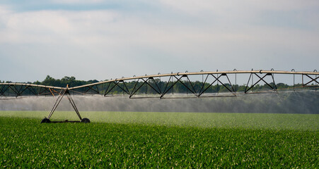 Irrigation system. Agricultural cultivation with watering and sprinkler technology. Agricultural irrigation system. Sprinkler equipment in the field. Irrigation and watering system in farmland © Volodymyr