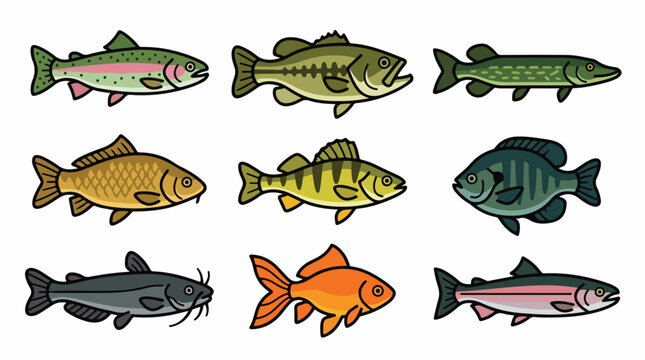 Collection of nine different types of freshwater fish illustrated in a cartoon style.