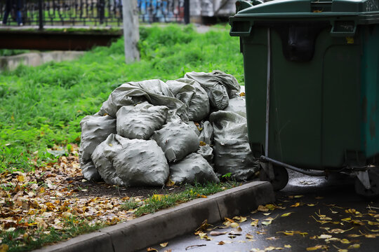 Urban Waste Management: Garbage Bags and Green Bin on City Street