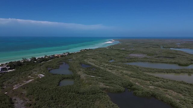 Drone perspective of a protected mangrove ecosystem with turquoise sea backdrop, Mexico