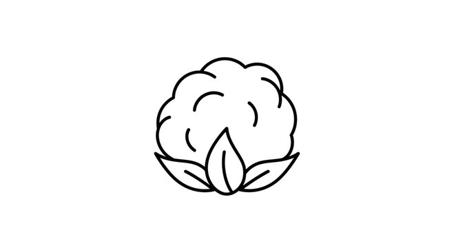 Cotton plant icon, simple line drawing of a cotton boll with leaves, isolated on white background.