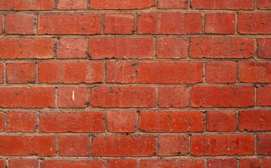 Obraz premium Red brick wall texture