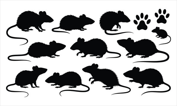 A detailed collection of rat and mouse silhouettes in various poses including paw prints on white