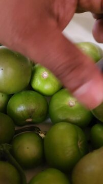 Selecting fresh green husk tomatoes without shell