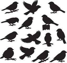 Fototapeta premium House sparrow icon silhouette vector bundle illustration