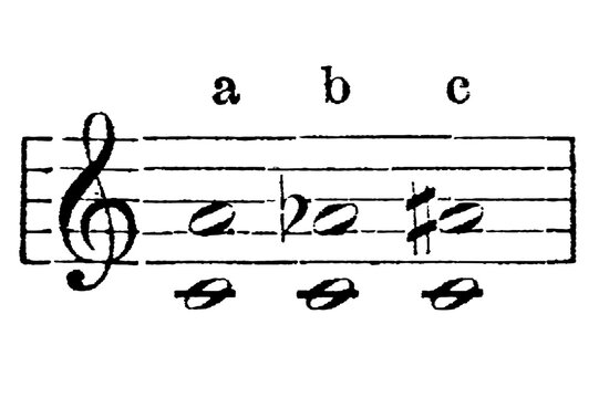 Diatonic degrees on a music staff, natural, sharp, and flat notes with letters a, b, c indicating positions, old vintage illustration, 1897.