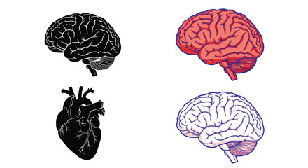 Illustrative depiction of human brain hemispheres and vital organs © msunny93