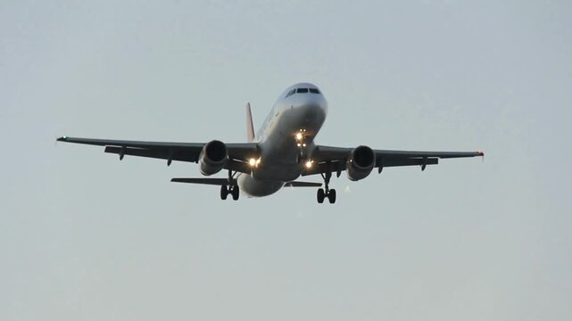 Passenger Airplane Landing At Sydney Airport During Sunset Australia