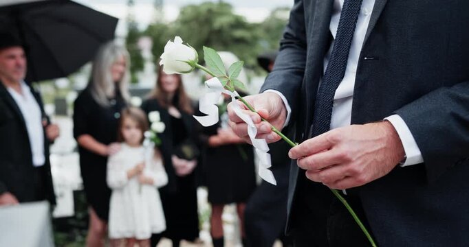 Flower, funeral and hands of man by graveyard for remembrance, mourning or grief at service. White rose, memorial and male person at cemetery for burial ceremony for loss, sympathy or respect.