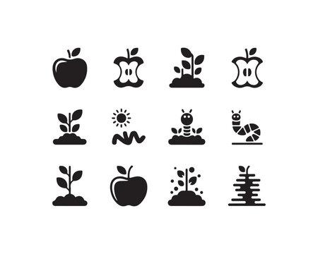 Black of apples seedlings sun and worms on white background apple core plant sprout