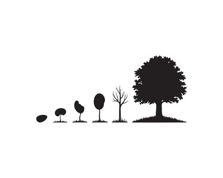 Black silhouette progression of a tree from seed to tree on a white background