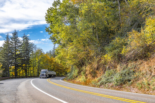 Classic big rig white semi truck tractor with roof windows transporting fastened cargo on flat bed semi trailer running on the winding road with autumn trees on the sides