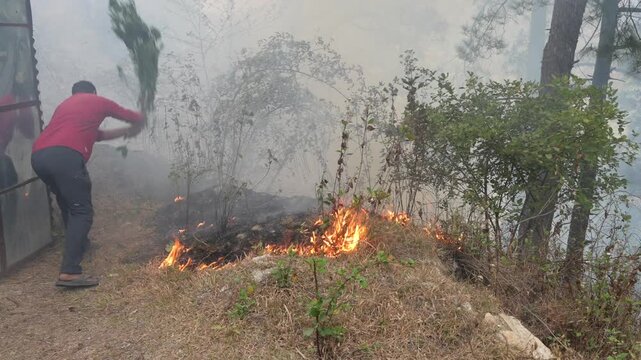 Man trying to control forest fire with branch in smoky woodland
