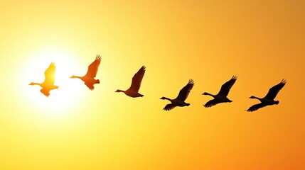 Obraz premium dispersal. A flock of migrating geese scattering from a V-formation against an autumn sky. representing seasonal cycles and harvest abundance.