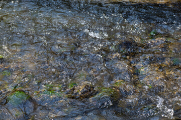 Fototapeta premium water flowing in the river