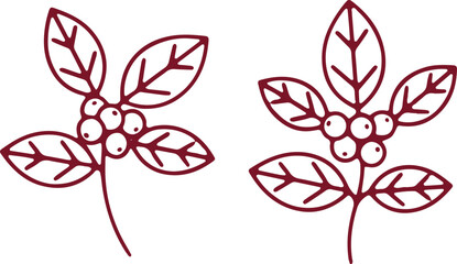 Two stylized illustrations of berry clusters with elongated leaves © Sadhin