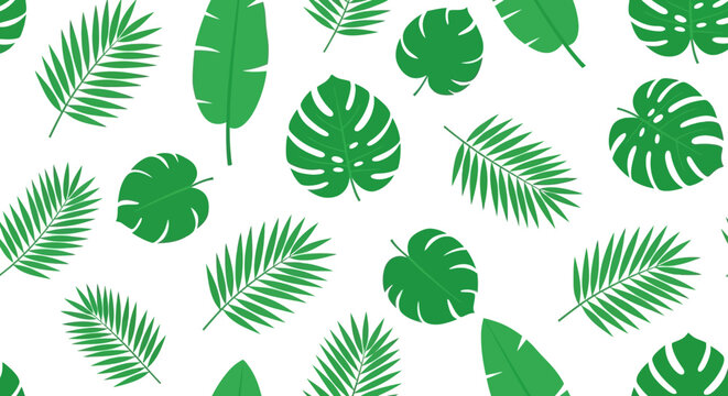 Tropical leaf pattern with green palm and monstera leaves on white background