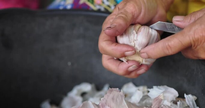 Woman is sorting the garlic.