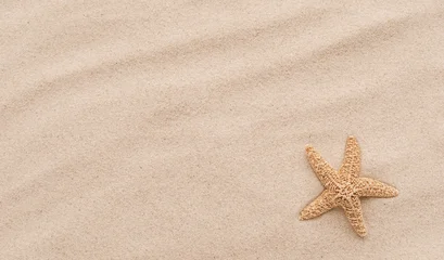 Top view of a sandy beach with starfish as natural textured background. Summer and vacation banner. Flat lay. © juliasudnitskaya
