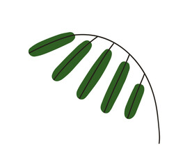 Naklejka premium Leaf branch bowing. Leaves, foliage sprig. Green leafy twig, greenery, botanical design element. Natural decoration, stem bending. Flat vector illustration isolated on white background