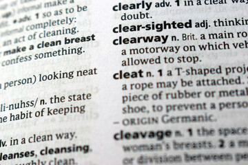 Fototapeta premium Definition Of English Dictionary Close Up Of Page With Word - clearway