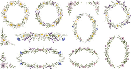 Wildflower Floral Wreath Vector Set with Daisy, Lavender and Botanical Frames for Wedding and Decorative Designs © nice