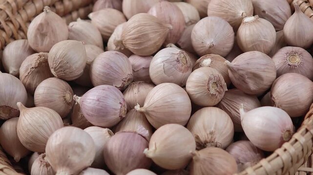 Video of Fresh garlic 
