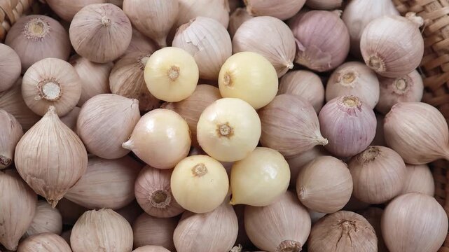 Video of Fresh garlic 
