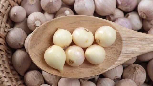 Video of Fresh garlic 