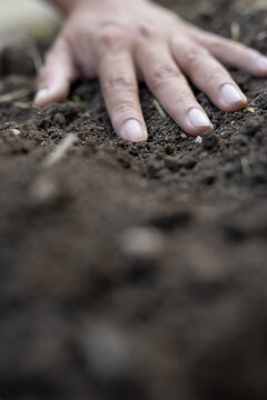 Low angle hand touching soil with copy space for gardening concept
