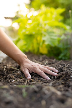 Hand touching soil for sustainable gardening and organic growth