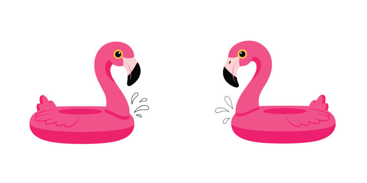Pink flamingo floaters with transparent background