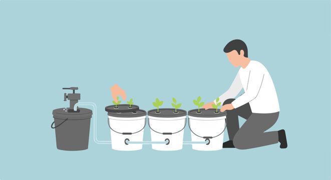 Person tending to a hydroponic system with multiple buckets and plants