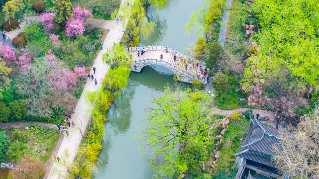 Aerial view of visitors enjoying spring blossom scenery at Slender West Lake in Yangzhou, Jiangsu Province, China.