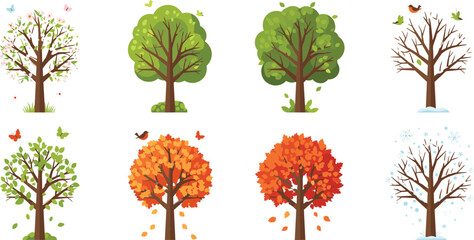 Four Seasons Tree Collection Showing Spring Summer Autumn and Winter Changes with Blossoms Green Leaves Falling Foliage and Snow Isolated on White Background