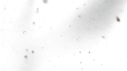 Fototapeta premium Abstract Dust Particles Floating in Light on White Background.