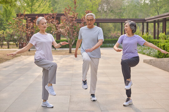 Seniors doing exercises in a park to stay active