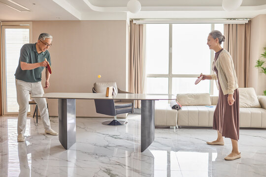 Senior couple playing a recreational ping pong game at home