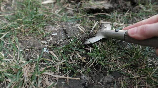 A close-up, high-angle shot captures a person's hand using a small metal hand fork to break up and aerate dark, clumpy garden soil. Preparing the ground for planting during a sunny spring day.