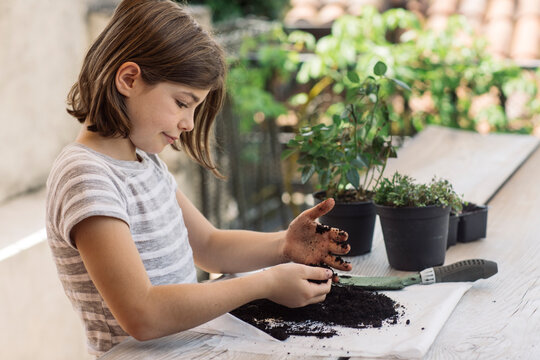 Girl repotting plant