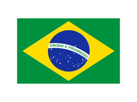 ブラジルの国旗のイラスト素材4