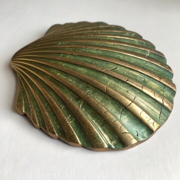 Brushed Bronze Shell &ndash; A brassy green with a brushed metallic