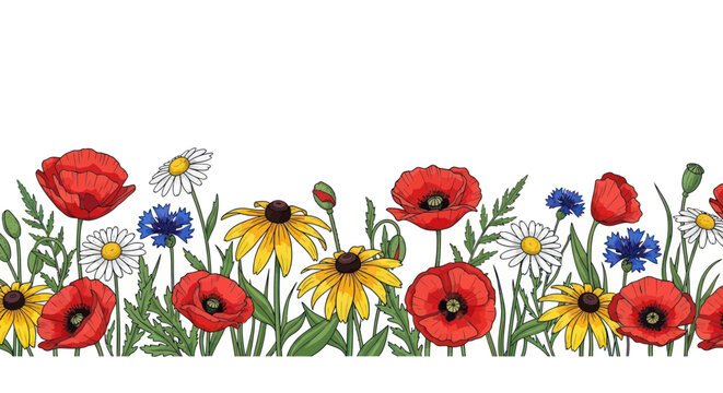 Vibrant Wildflower Border: Poppies, Daisies, Cornflowers & Black-Eyed Susans