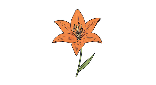 Vibrant Orange Lily Flower Closeup.