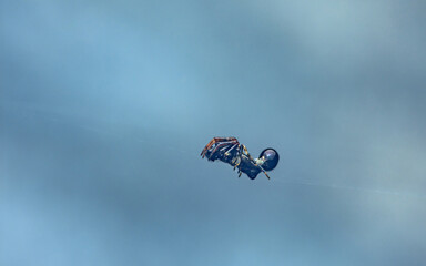 Fototapeta premium Spider hanging on web strand in blue sky
